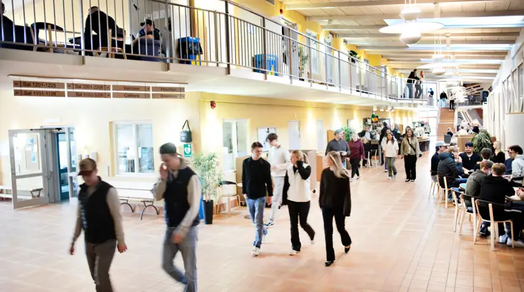 Elever som umgås i cafeterian